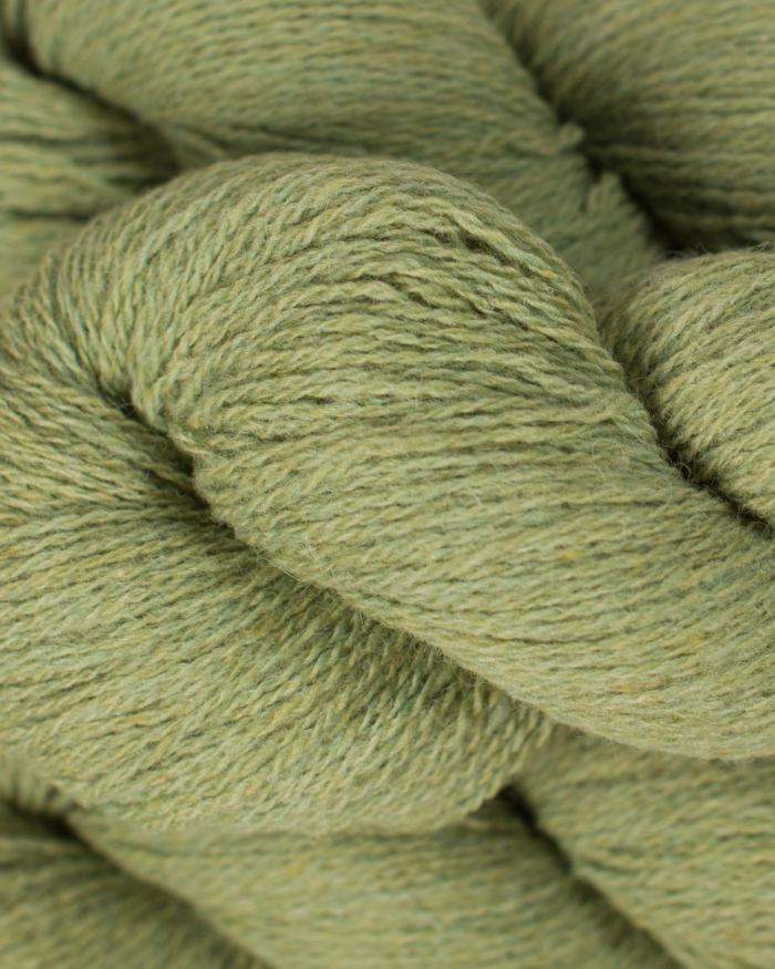 BC Garn Bio Shetland GOTS | 11 Spring Green