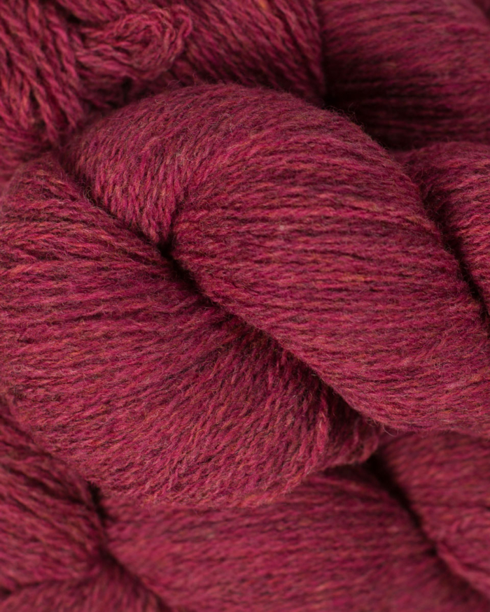 BC Garn Bio Shetland GOTS | 31 Plum