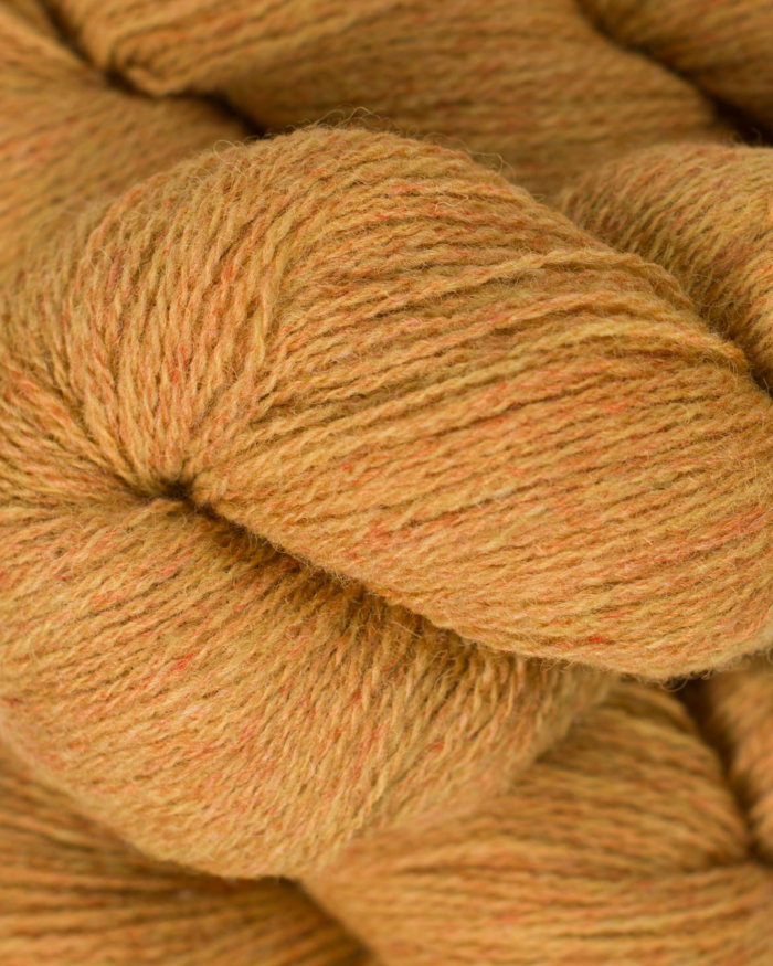 BC Garn Bio Shetland GOTS | 50 Mustard