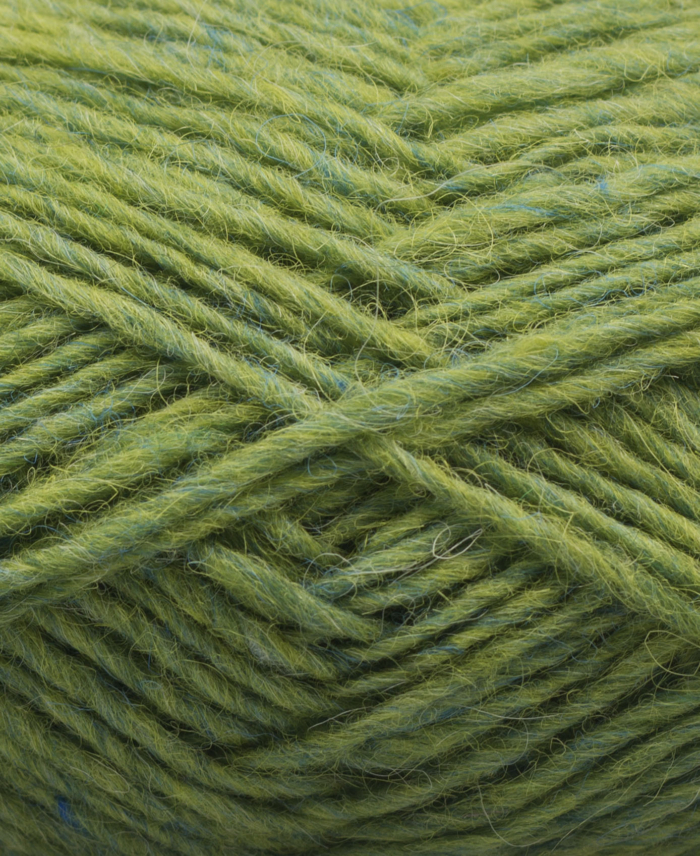 Istex Lettlopi | 1406 Spring Green Heather-0