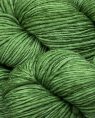 Malabrigo Worsted | 117 Verde Adriana-0