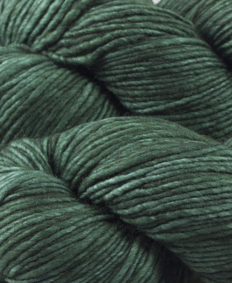 Malabrigo Worsted | 145 Forest-0