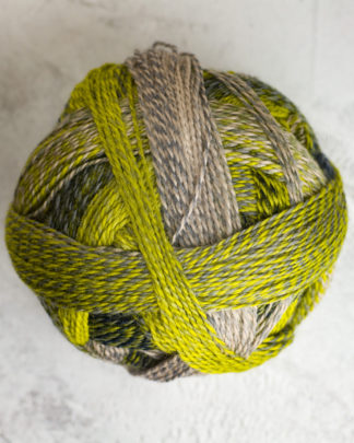 Schoppel Wolle Crazy Zauberball | 2204 Green Week-0