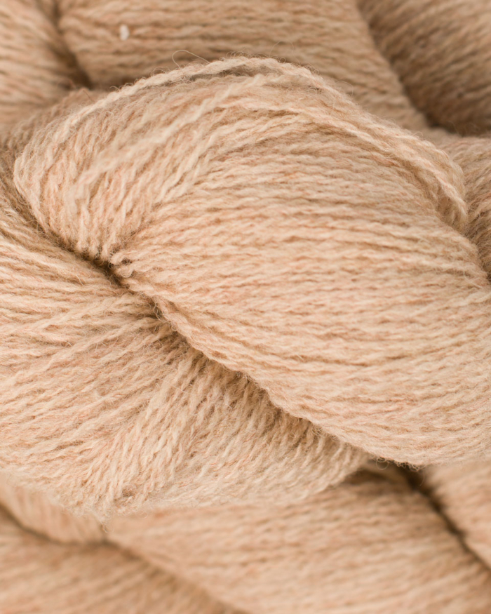 BC Garn Bio Shetland GOTS | 02 Light Camel